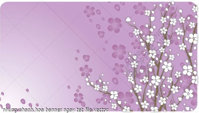 nhung nhanh hoa banner ngay tet file vector